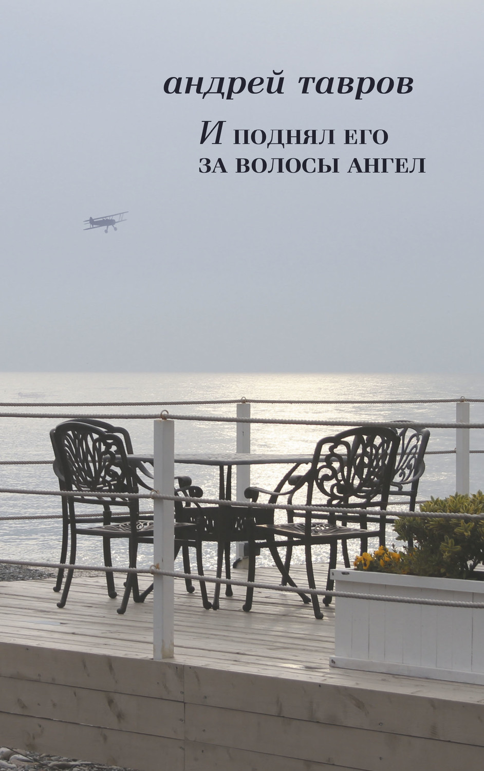 Обложка книги «И поднял его за волосы ангел»