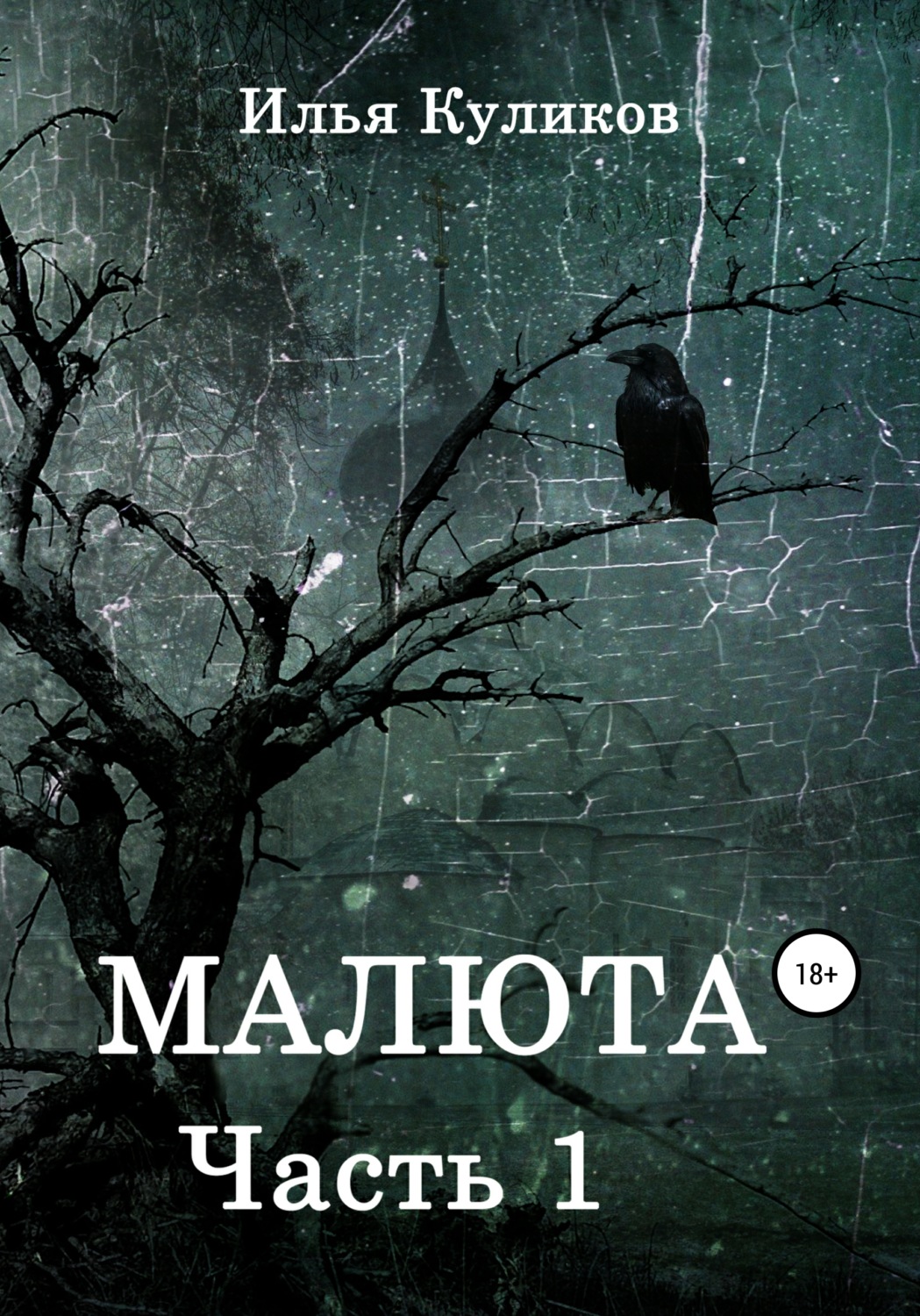 Обложка книги «Малюта. Часть 1»