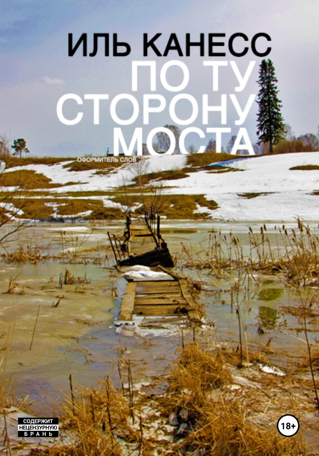 Обложка книги «По ту сторону моста»