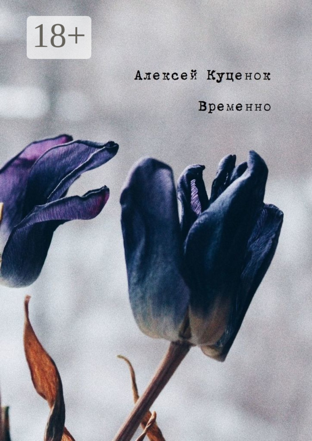 Обложка книги «Временно»