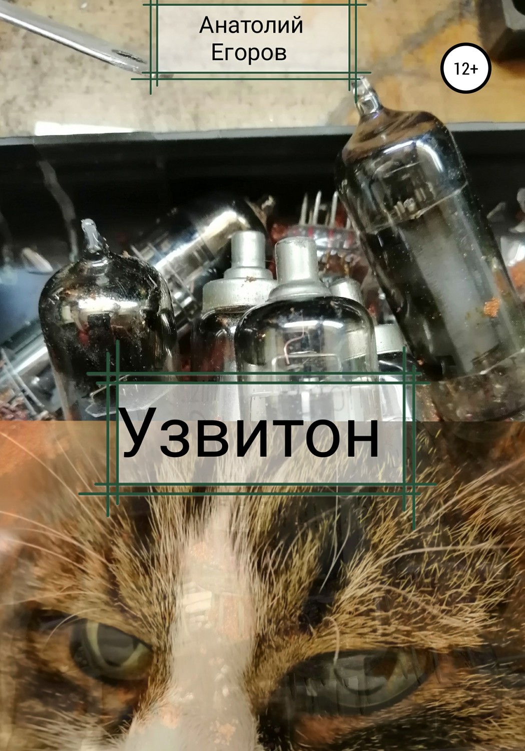 Обложка книги «Узвитон»