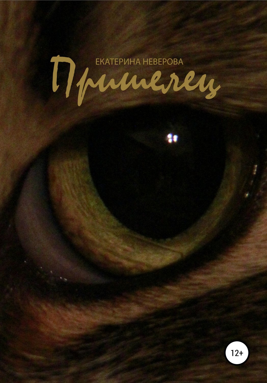Обложка книги «Пришелец»