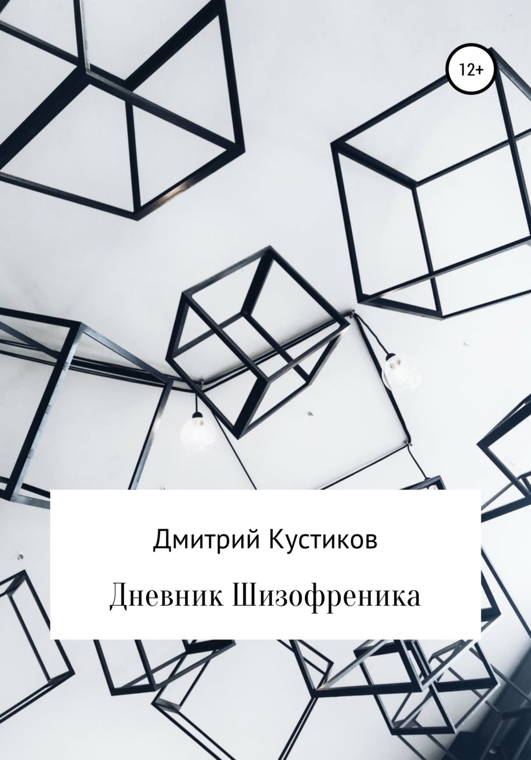 Обложка книги «Дневник Шизофреника»