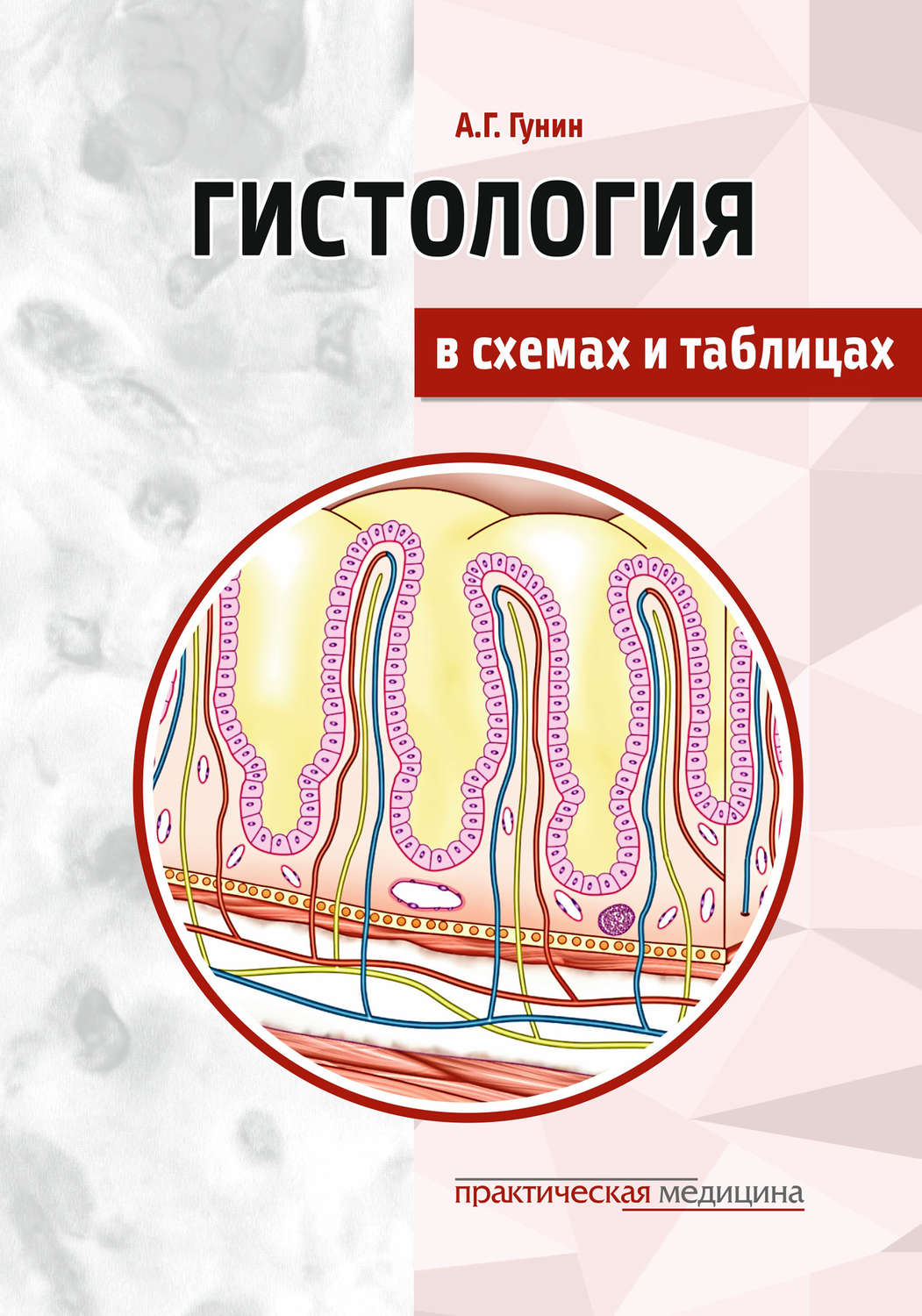 Обложка книги «Гистология в схемах и таблицах»