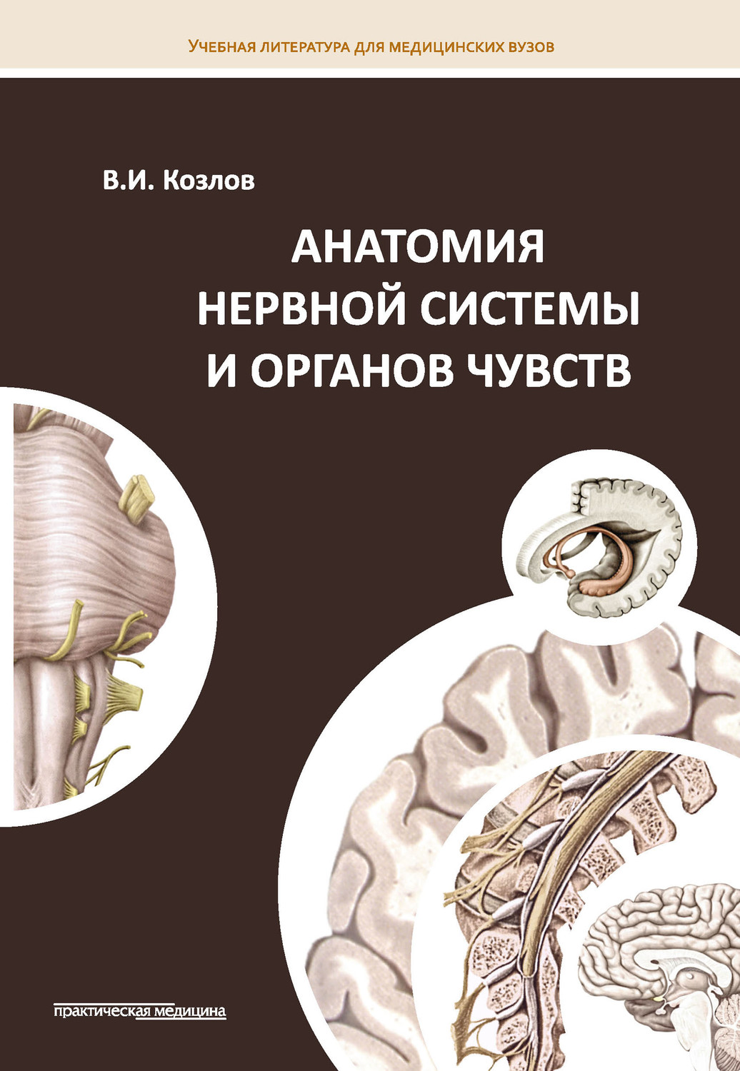 Обложка книги «Анатомия нервной системы и органов чувств»