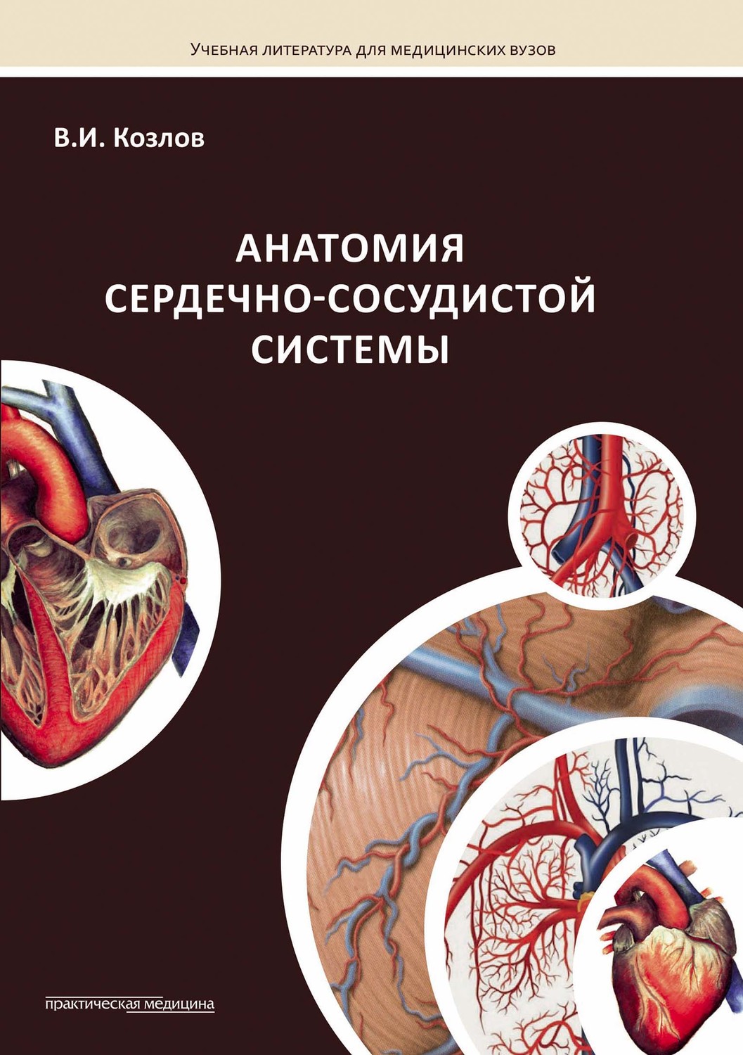 Обложка книги «Анатомия сердечно-сосудистой системы»