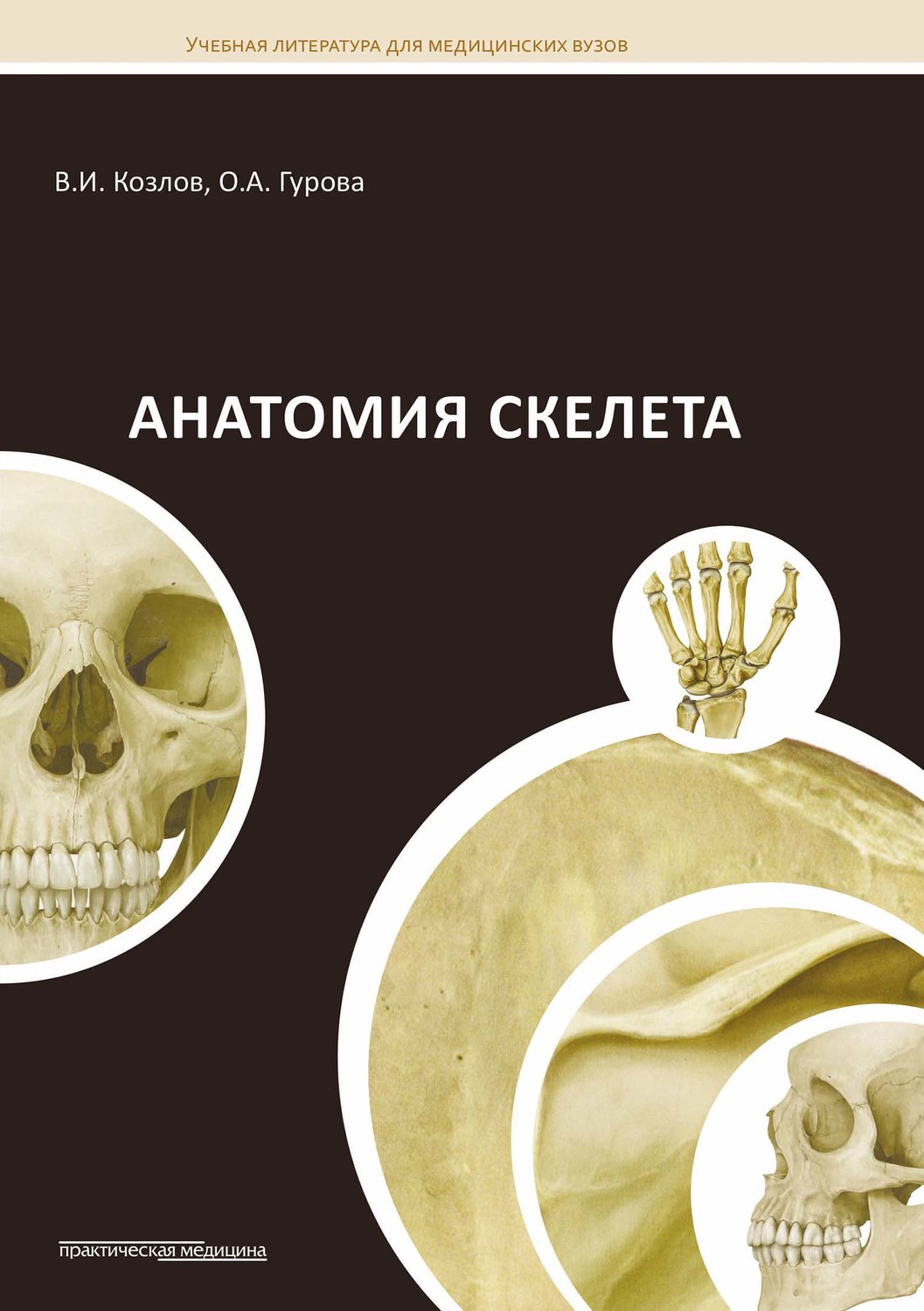 Обложка книги «Анатомия скелета»