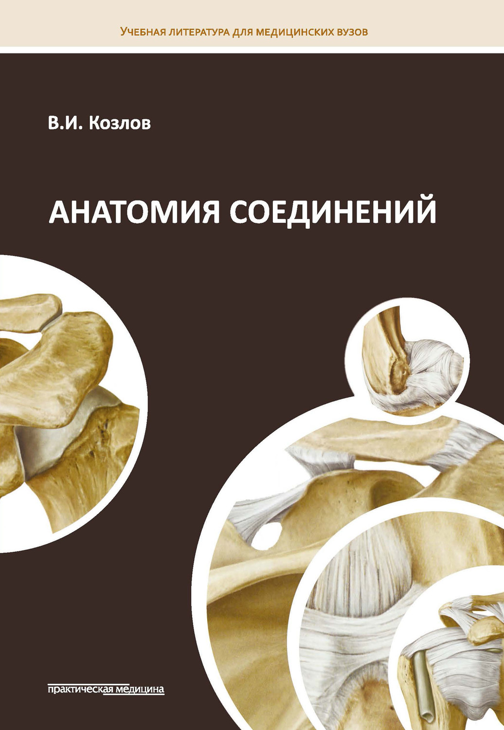 Обложка книги «Анатомия соединений»