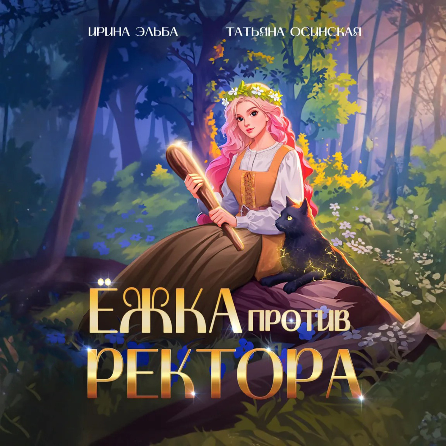 Обложка книги «Ёжка против ректора»