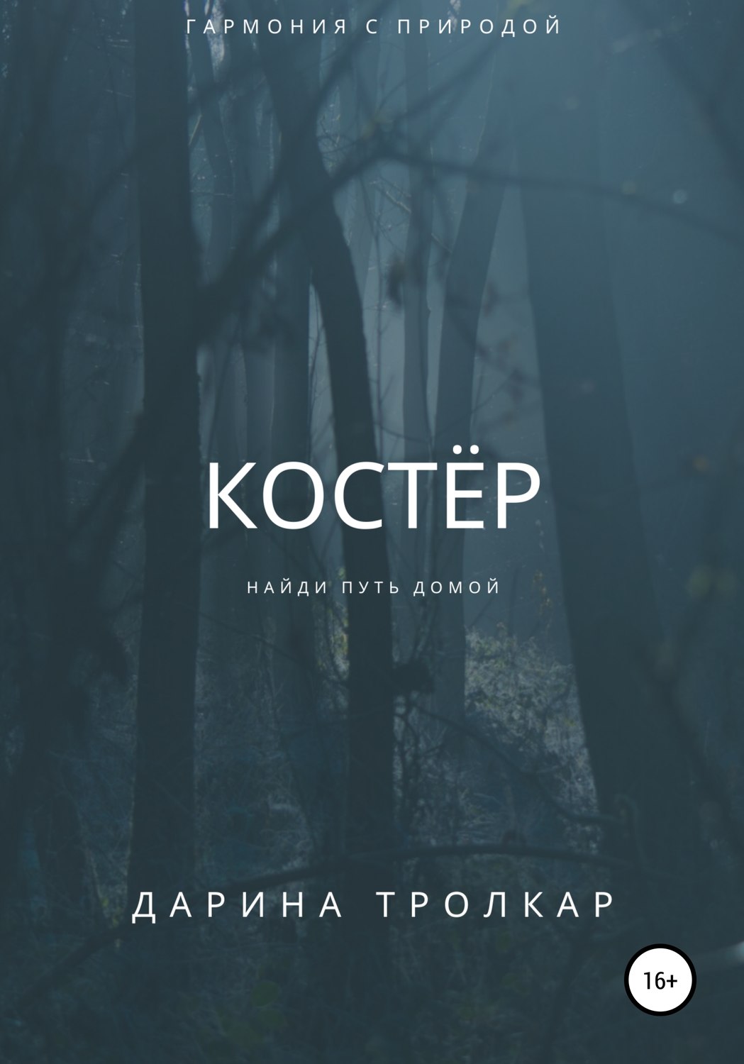 Обложка книги «Костёр»