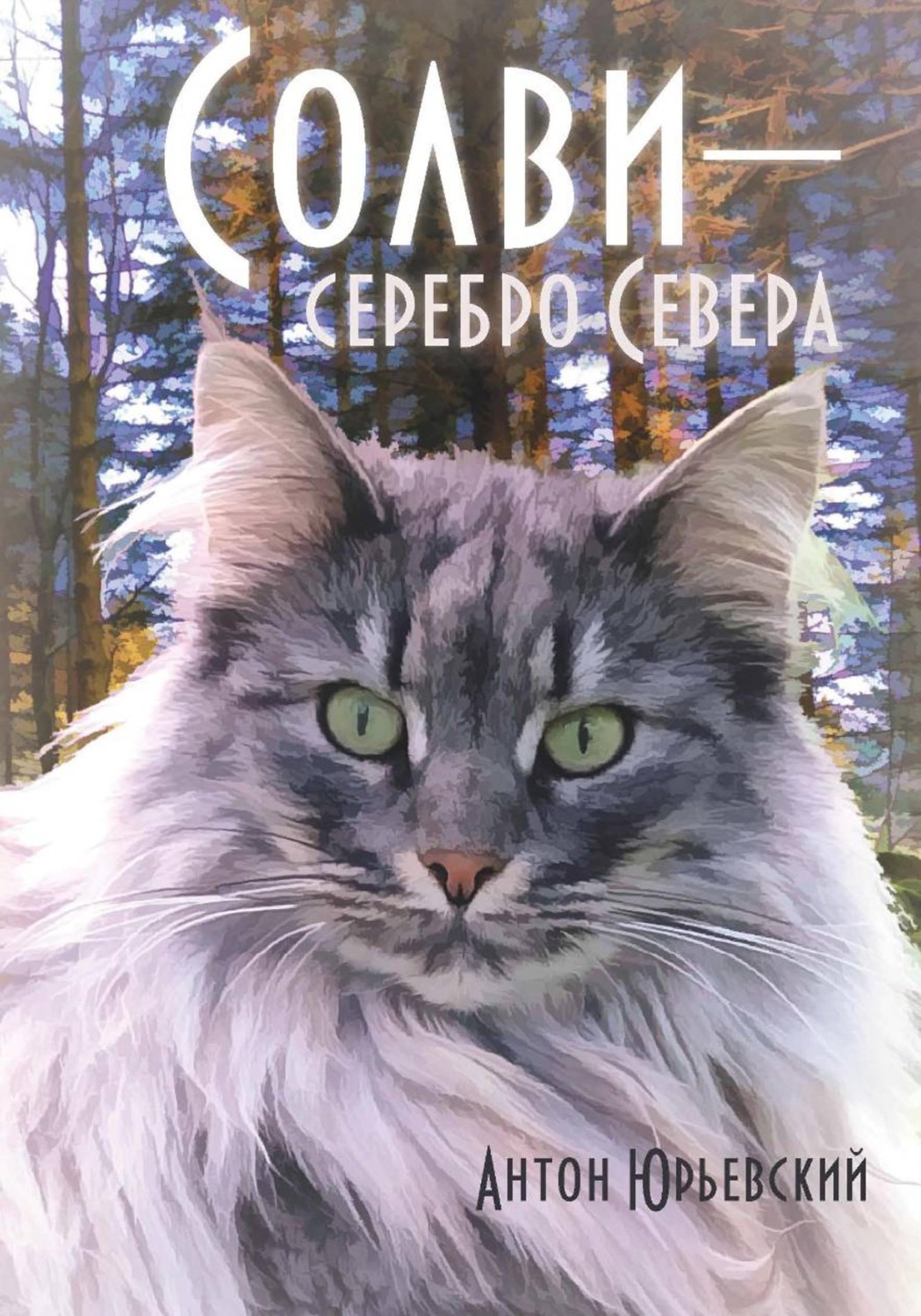 Обложка книги «Солви - серебро Севера»