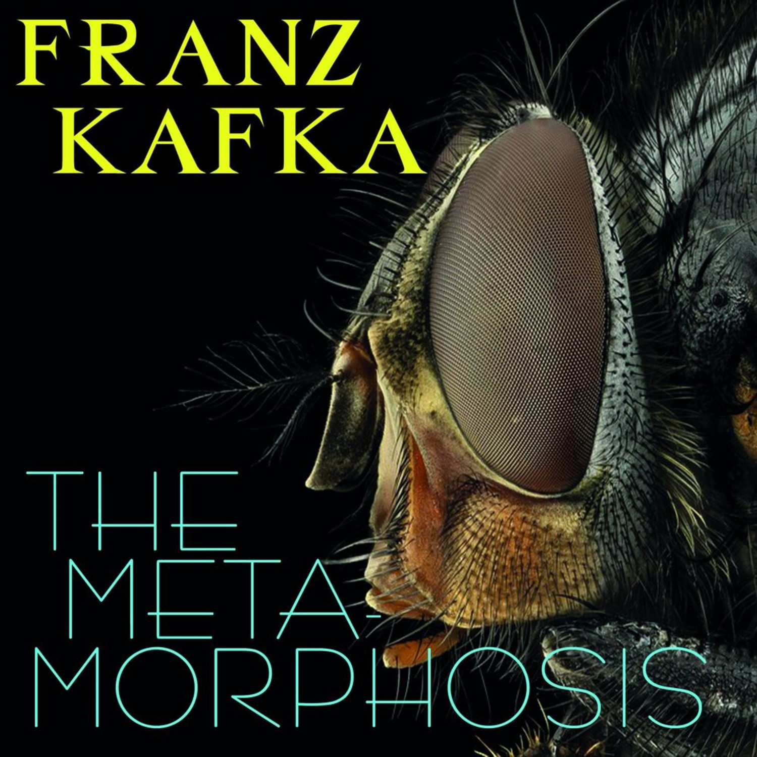 Обложка книги «The Metamorphosis»
