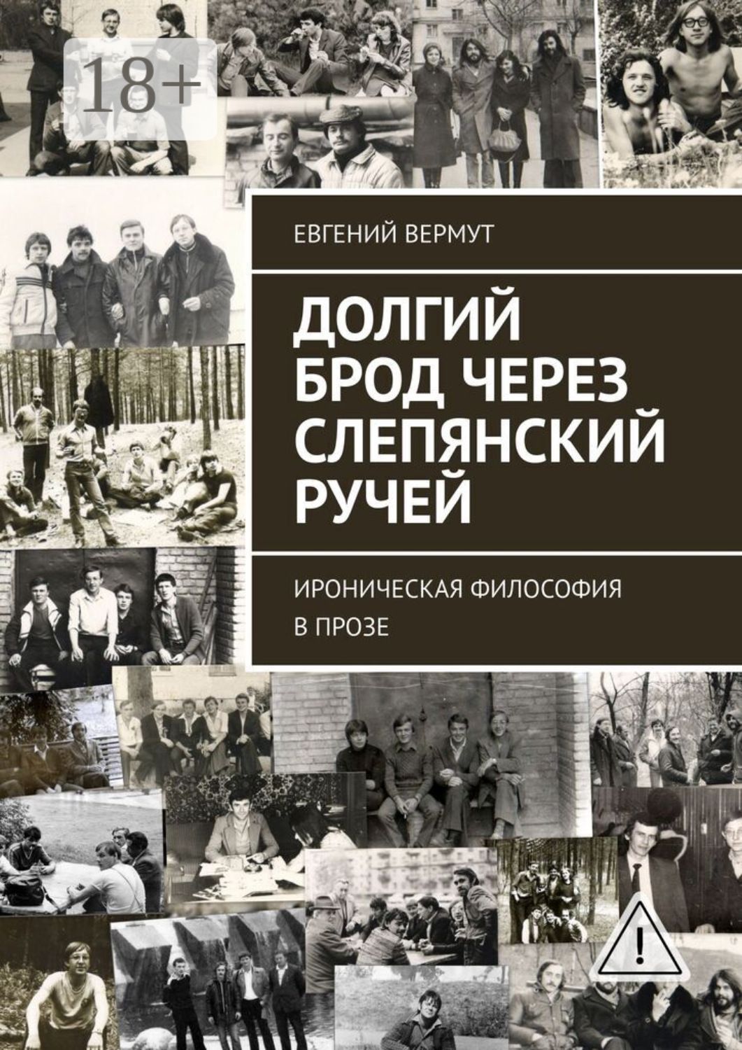 Обложка книги «Долгий брод через Слепянский ручей. Ироническая философия в прозе»