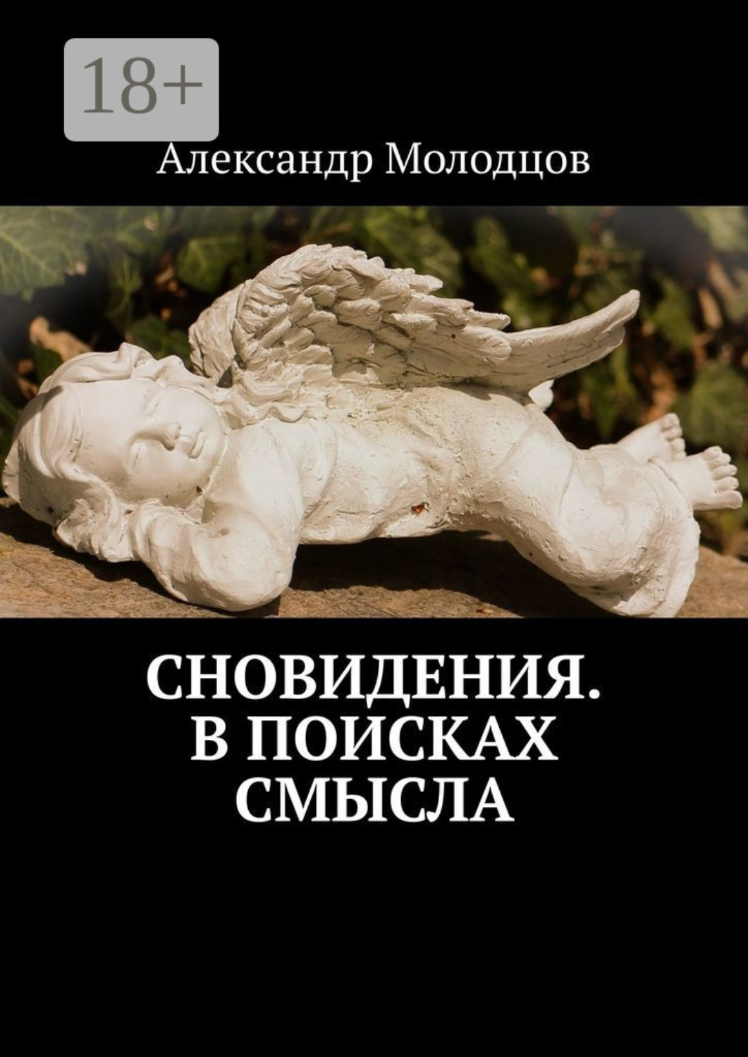 Обложка книги «Сновидения. В поисках смысла»