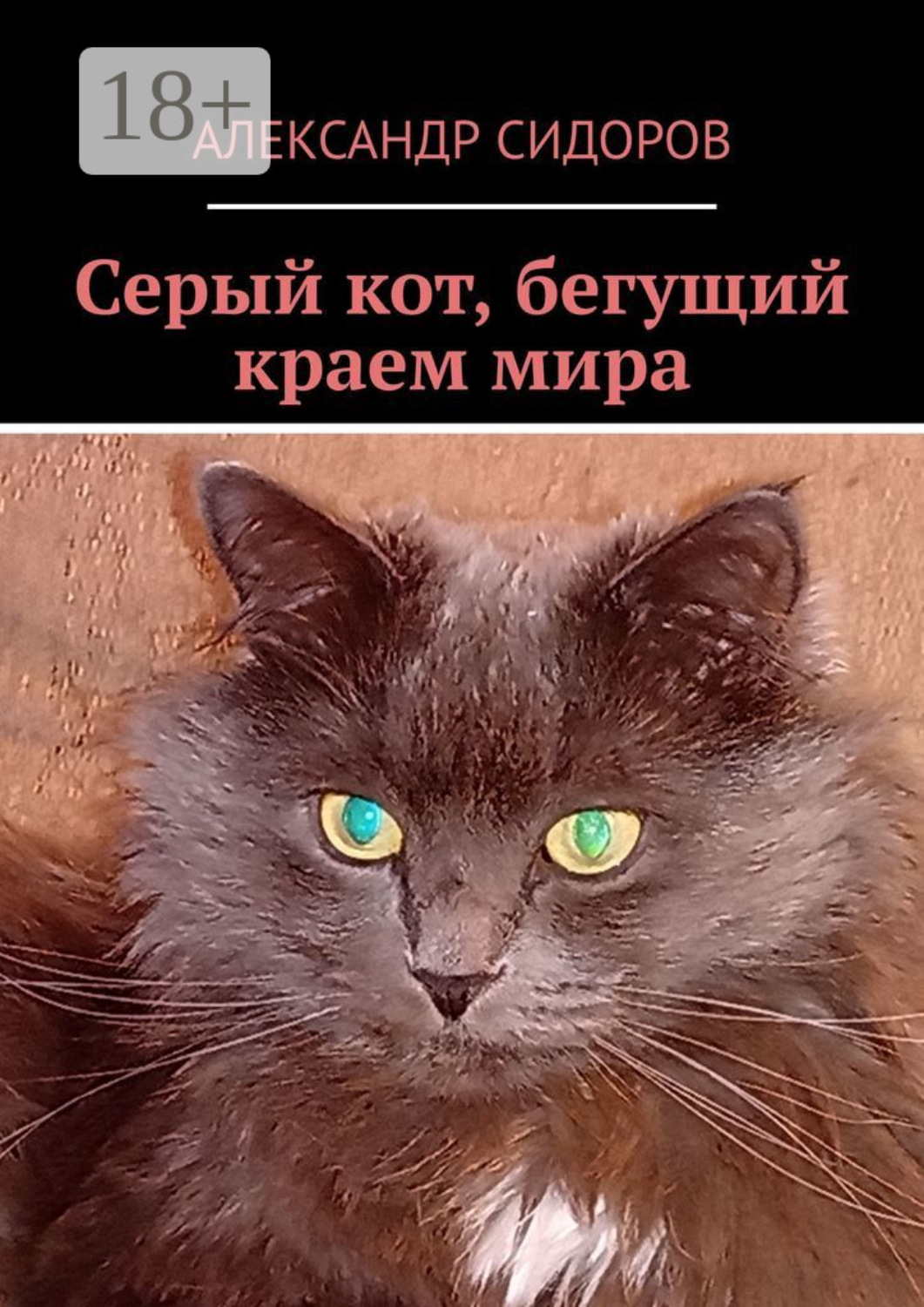 Обложка книги «Серый кот, бегущий краем мира»
