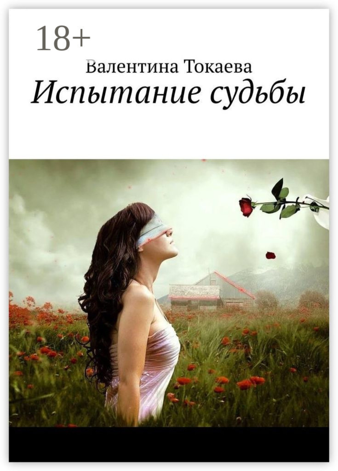 Обложка книги «Испытание судьбы»