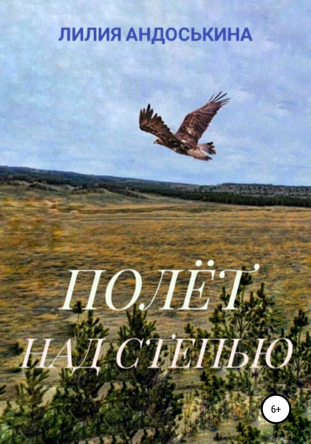 Обложка книги «Полёт над степью»