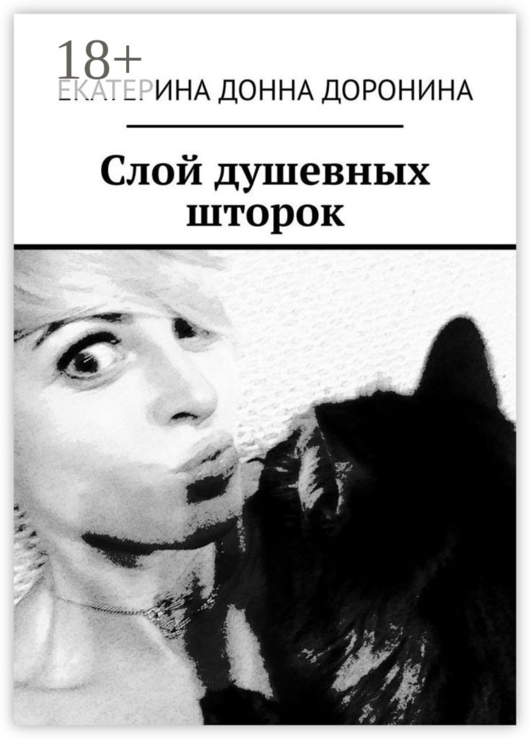 Обложка книги «Слой душевных шторок»