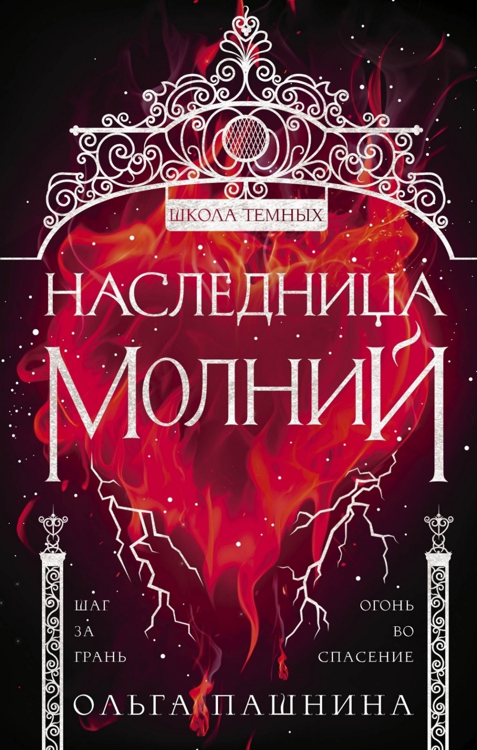 Обложка книги «Школа темных. Наследница молний»
