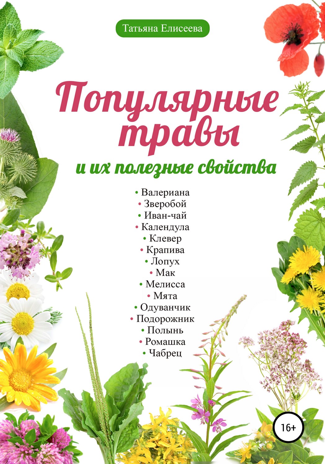 Обложка книги «Популярные травы и их полезные свойства»