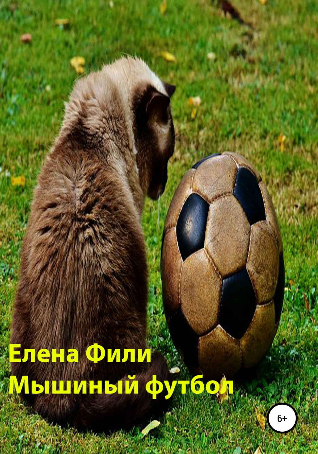 Обложка книги «Мышиный футбол»