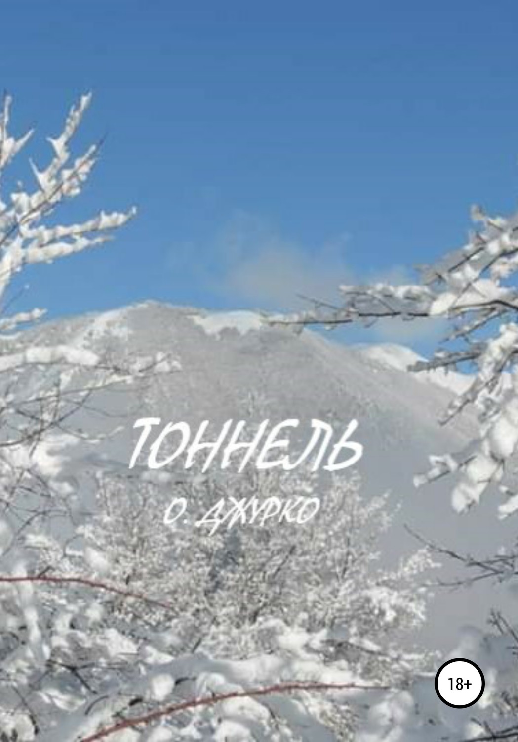 Обложка книги «Тоннель»