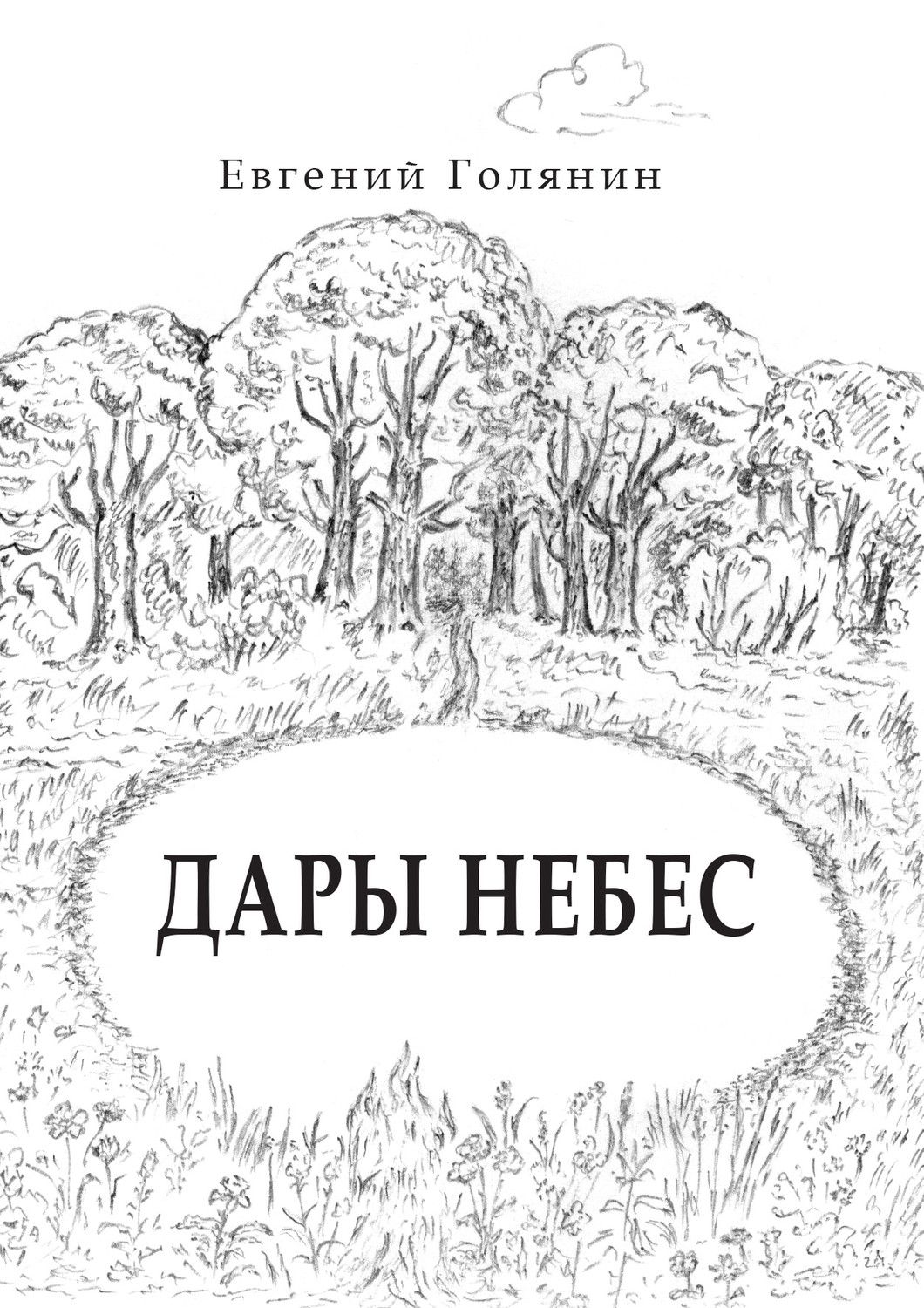 Обложка книги «Дары небес»