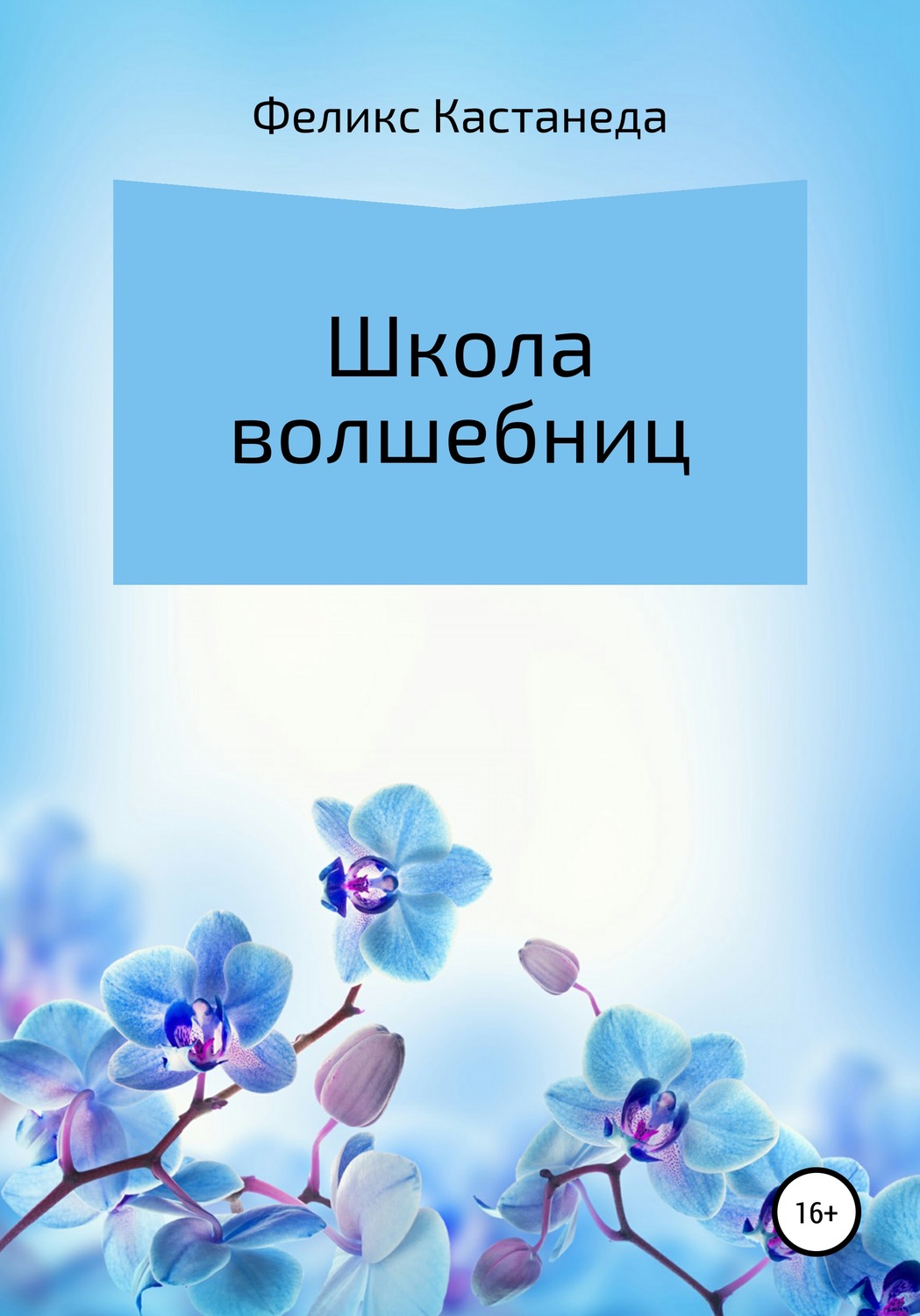 Обложка книги «Школа волшебниц»