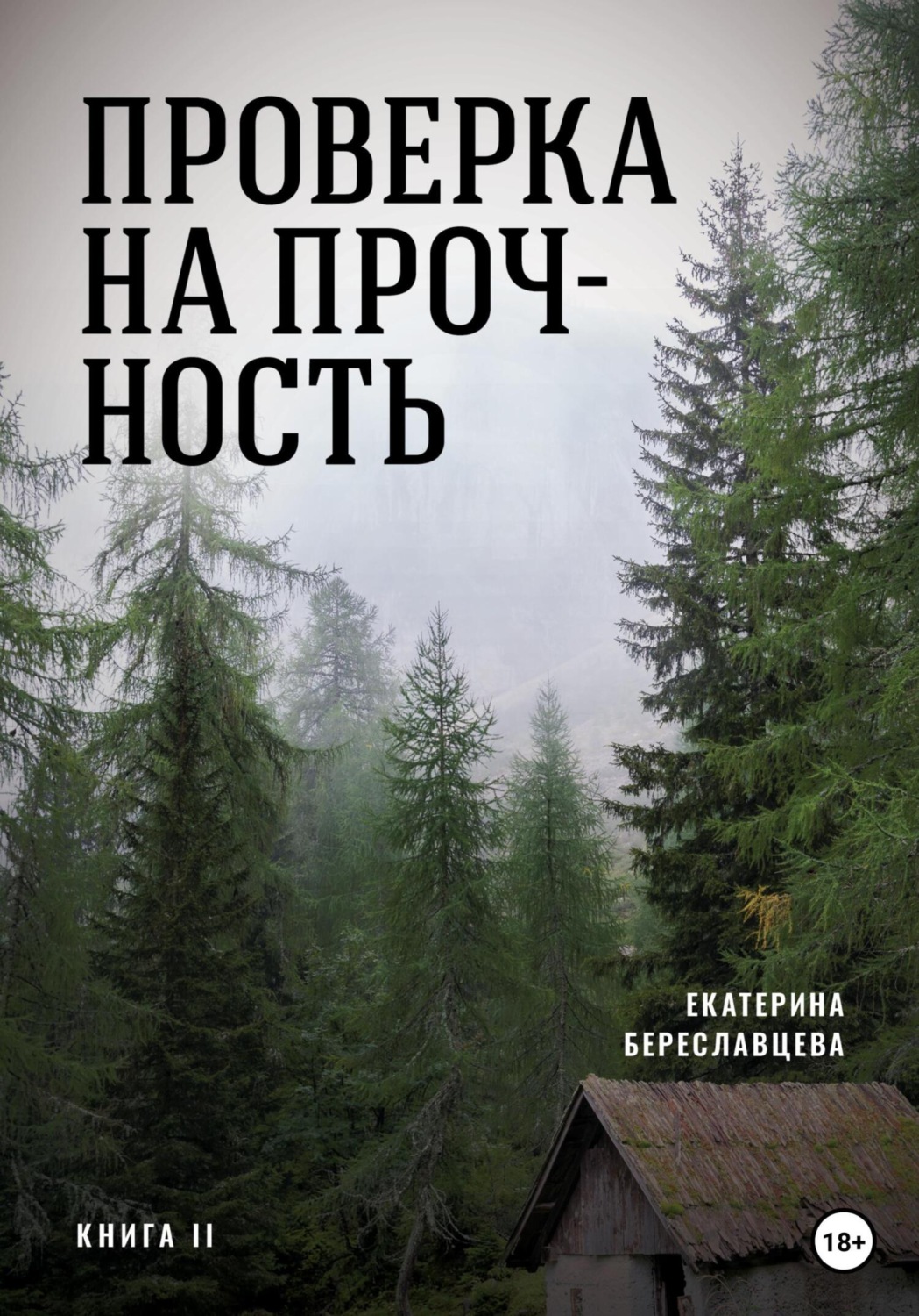 Обложка книги «Проверка на прочность»