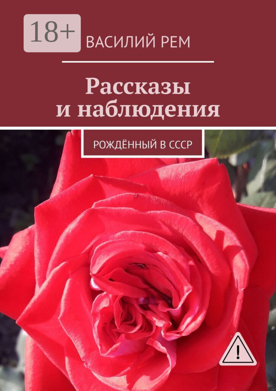 Обложка книги «Рассказы и наблюдения. Рождённый в СССР»
