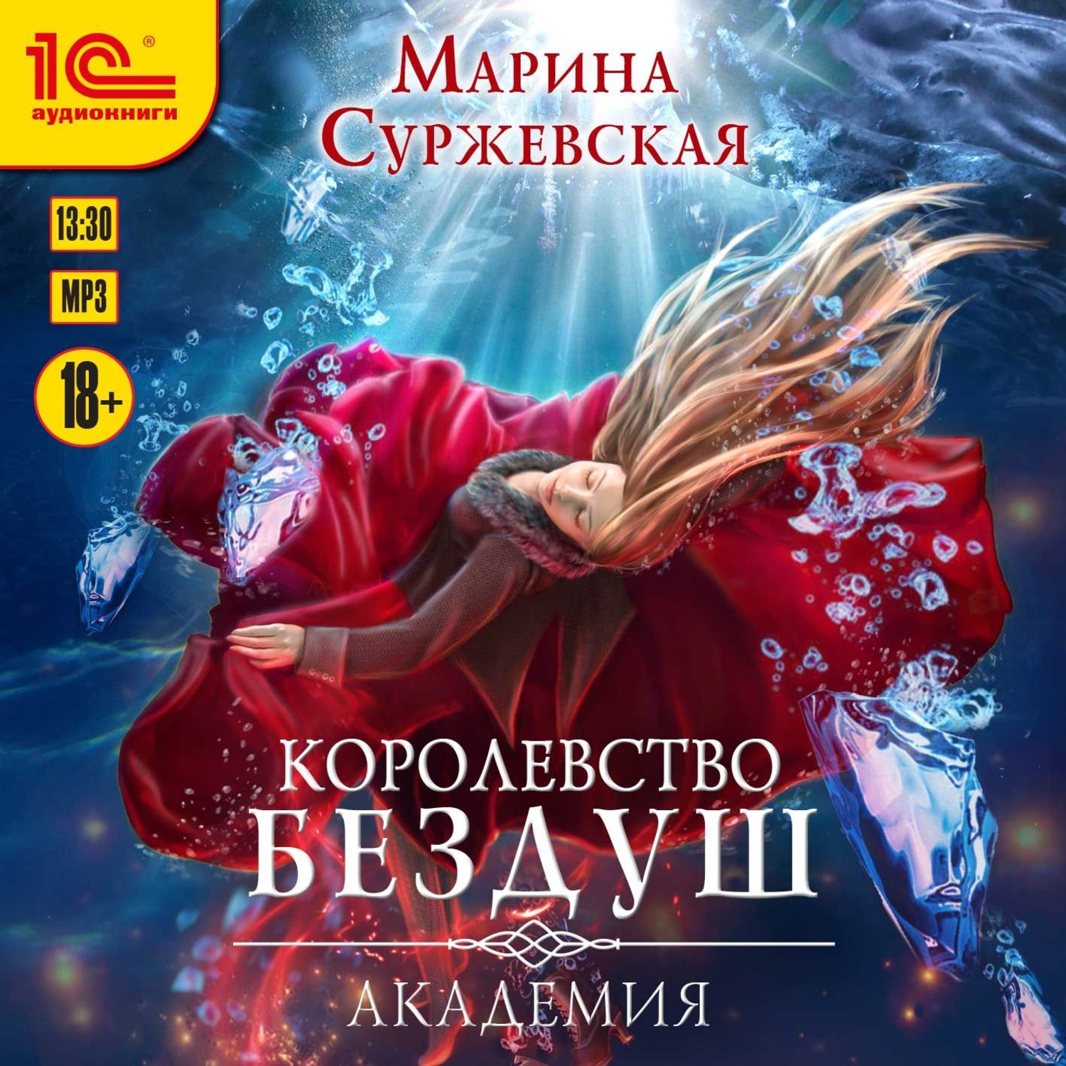 Обложка книги «Королевство Бездуш. Академия»