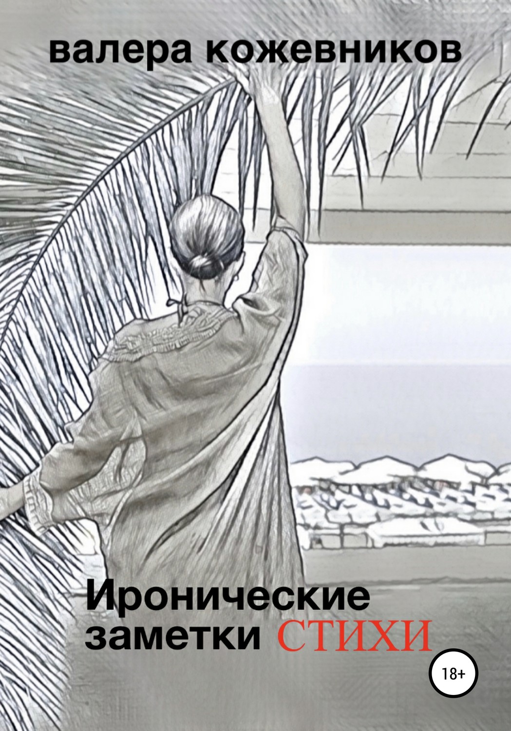 Обложка книги «Иронические заметки»