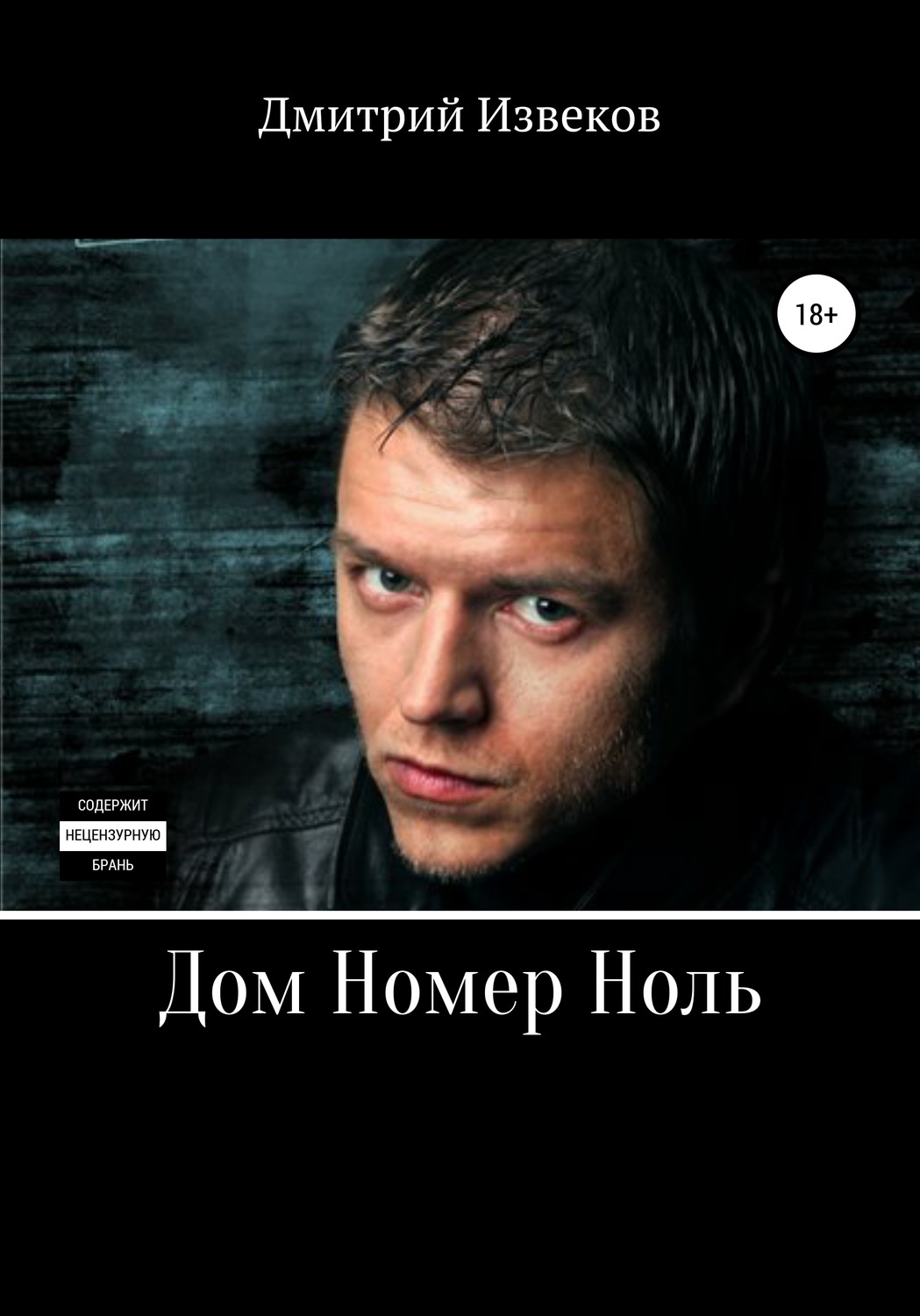Обложка книги «Дом номер ноль»