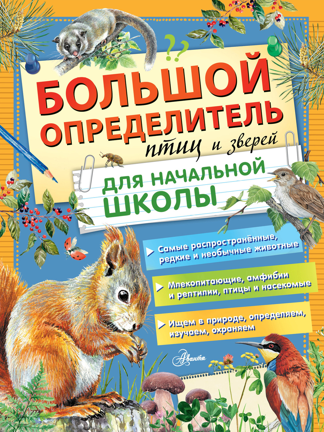 Обложка книги «Большой определитель птиц и зверей для начальной школы»
