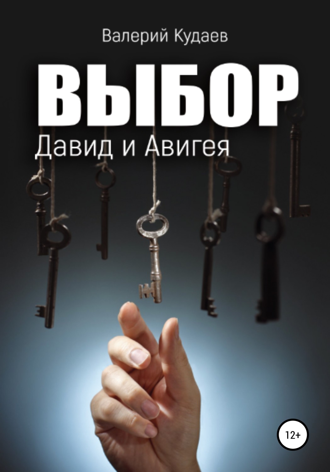 Обложка книги «Выбор. Давид и Авигея»