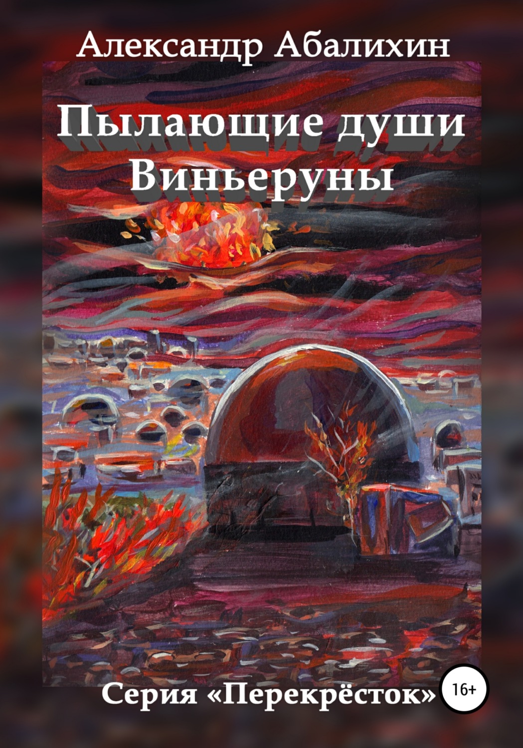 Обложка книги «Пылающие души Виньеруны»