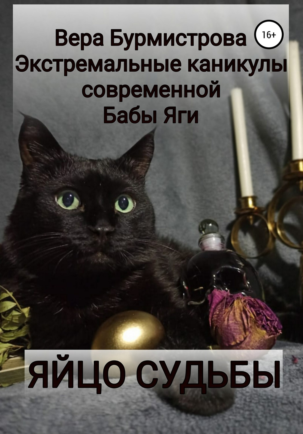 Обложка книги «ЯЙЦО СУДЬБЫ. Экстремальные каникулы современной Бабы Яги»