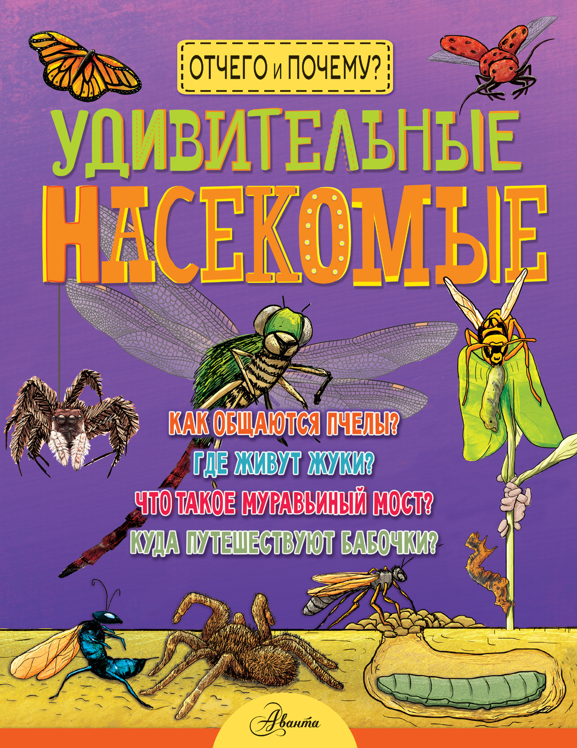 Обложка книги «Удивительные насекомые»