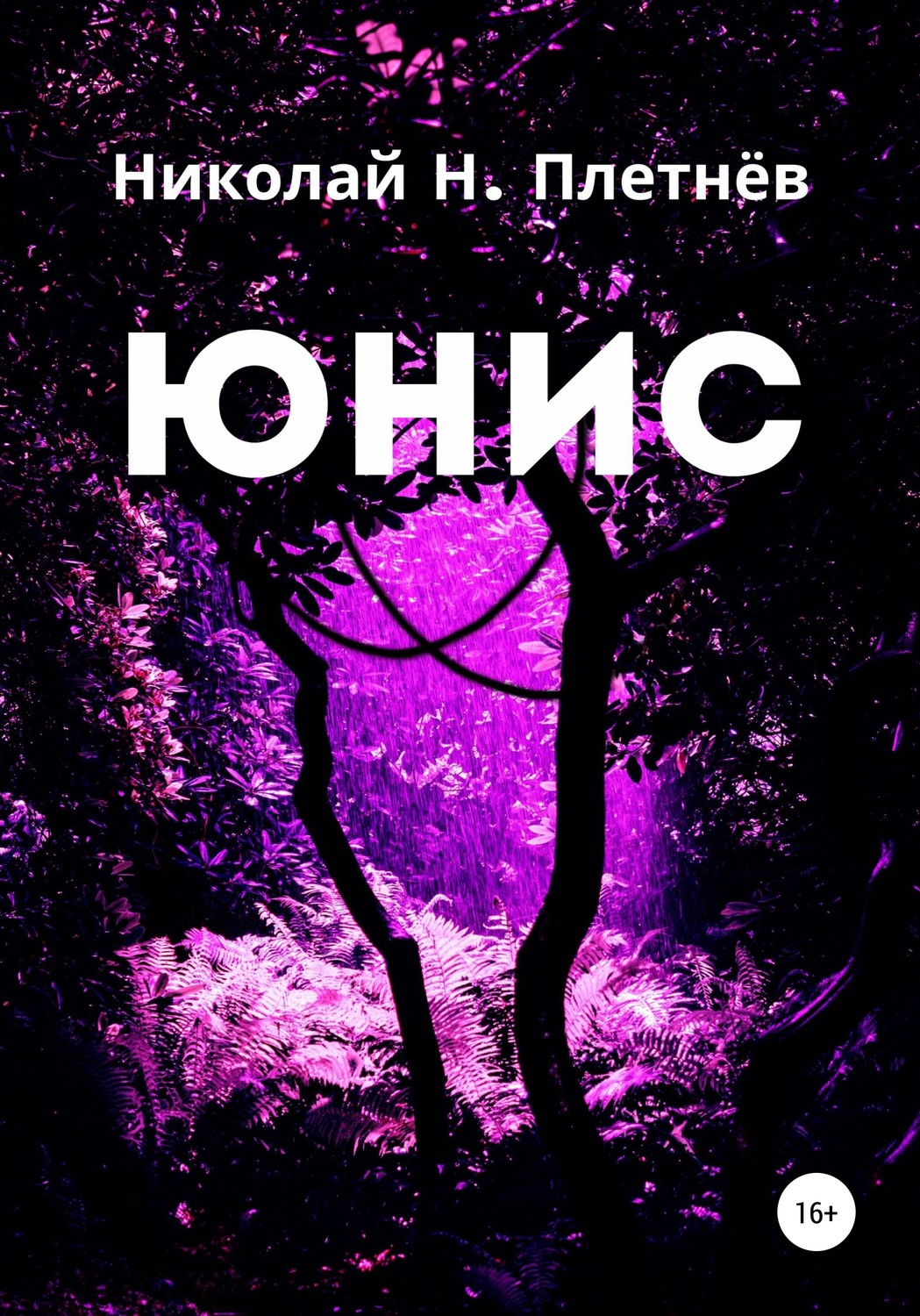 Обложка книги «Юнис»