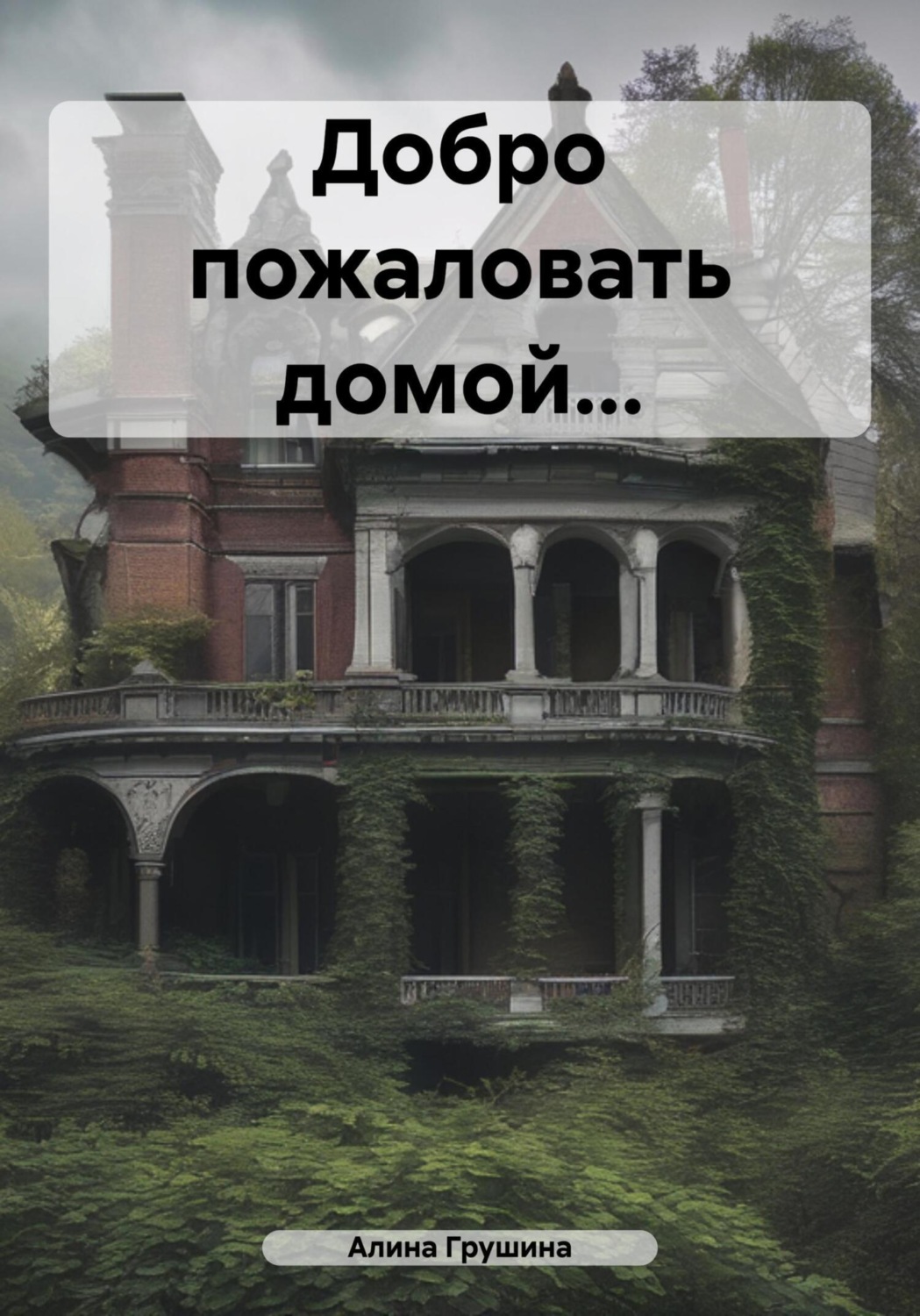 Обложка книги «Добро пожаловать домой…»