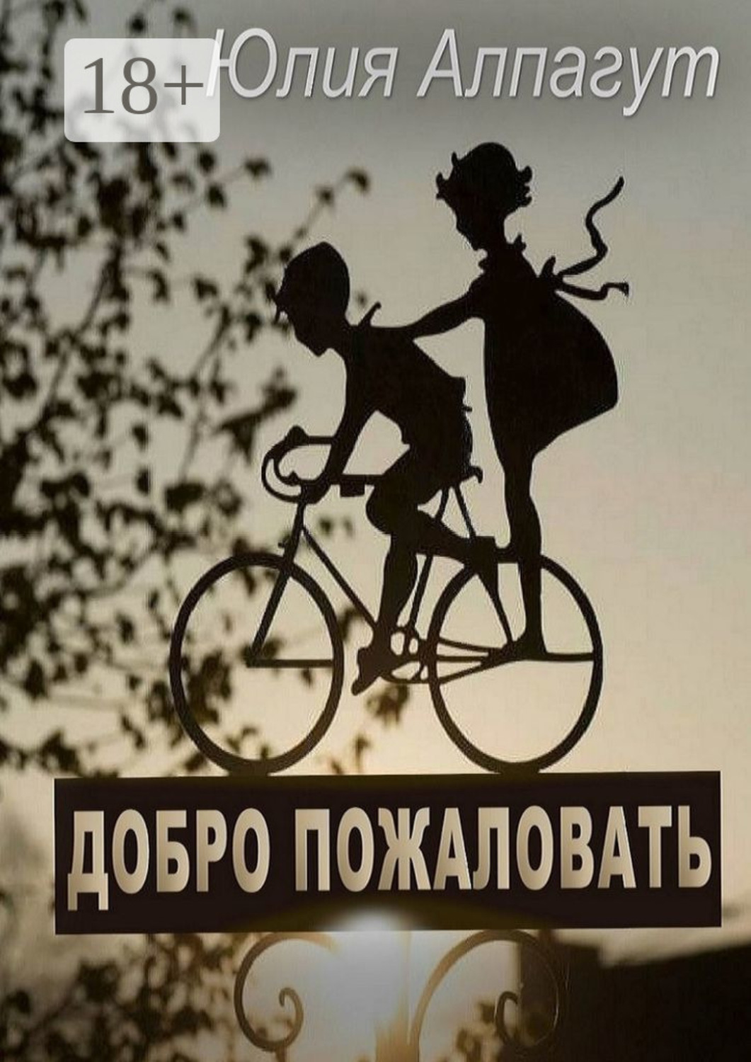 Обложка книги «Добро пожаловать»