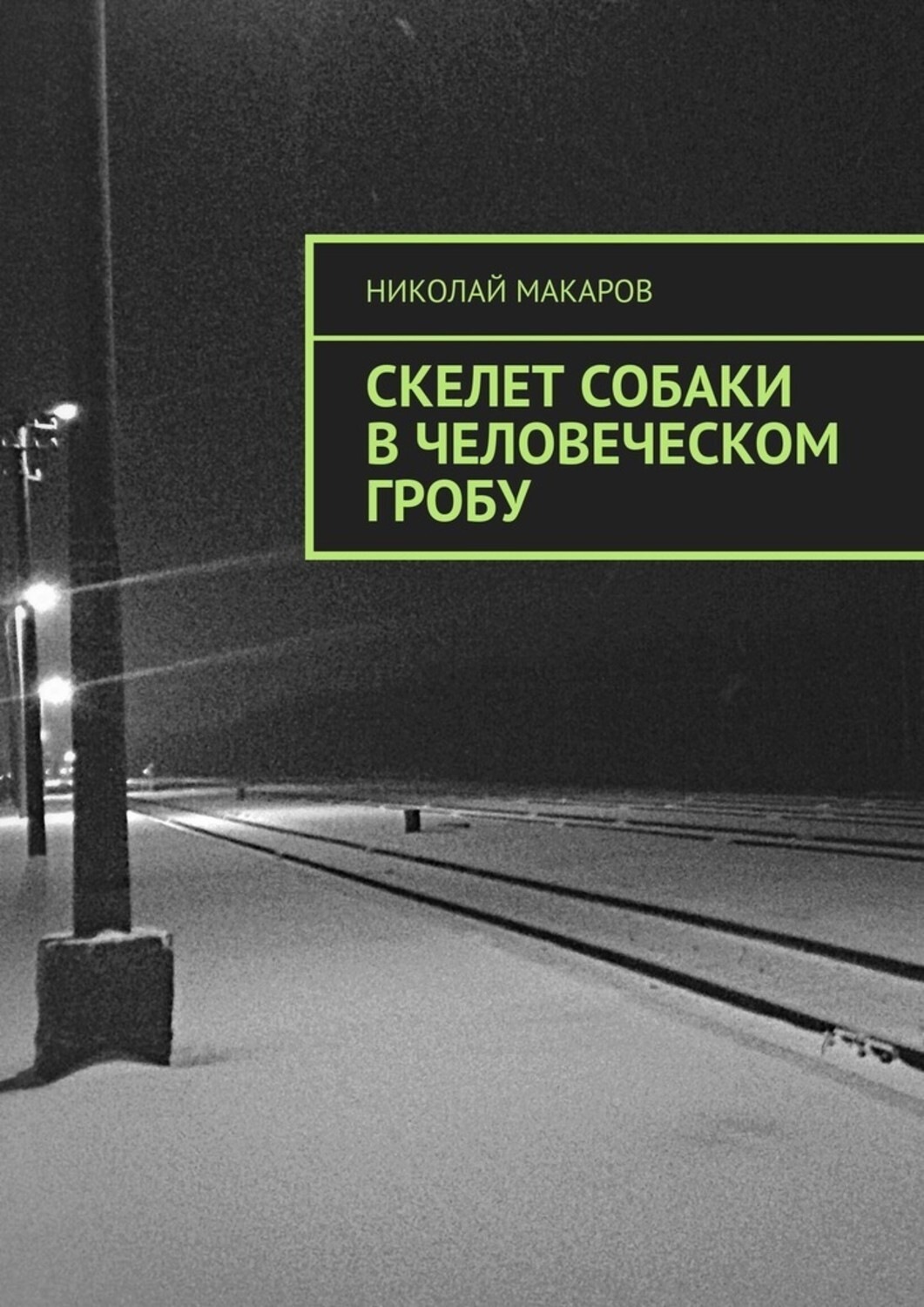 Обложка книги «Скелет собаки в человеческом гробу»