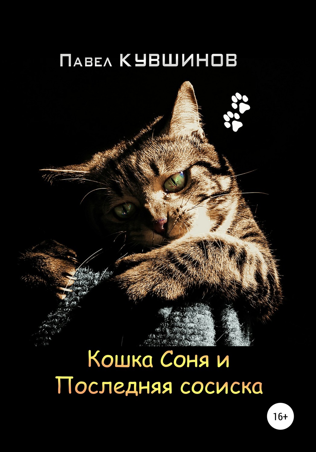 Обложка книги «Кошка Соня и Последняя сосиска»