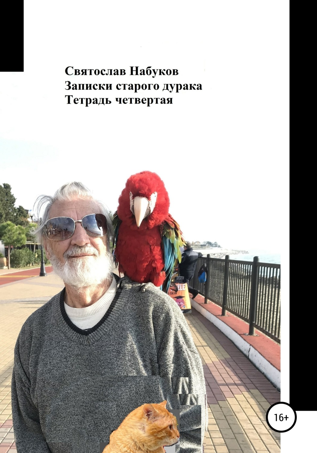 Обложка книги «Записки старого дурака. Тетрадь четвертая»