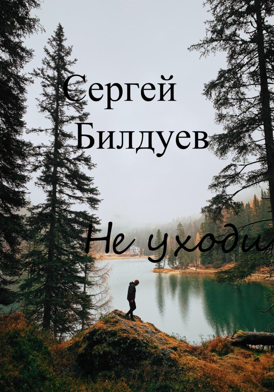 Обложка книги «Не уходи»