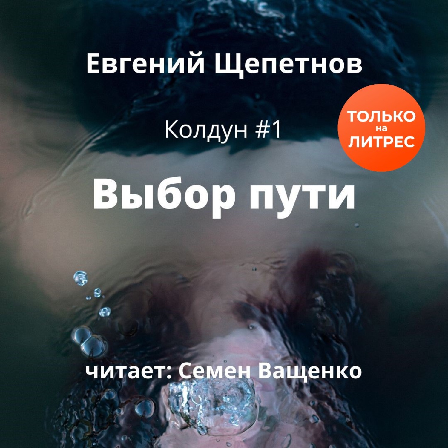 Обложка книги «Выбор пути»