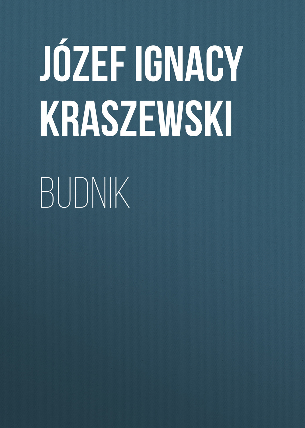 Обложка книги «Budnik»