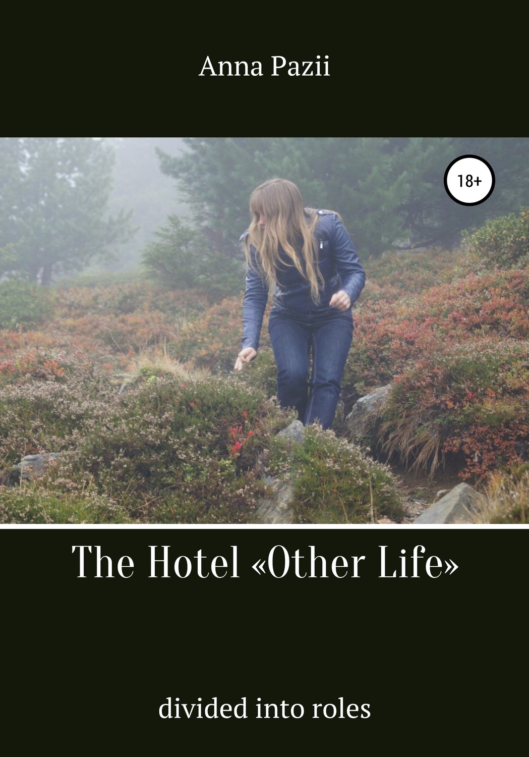 Обложка книги «The Hotel «Other Life»»