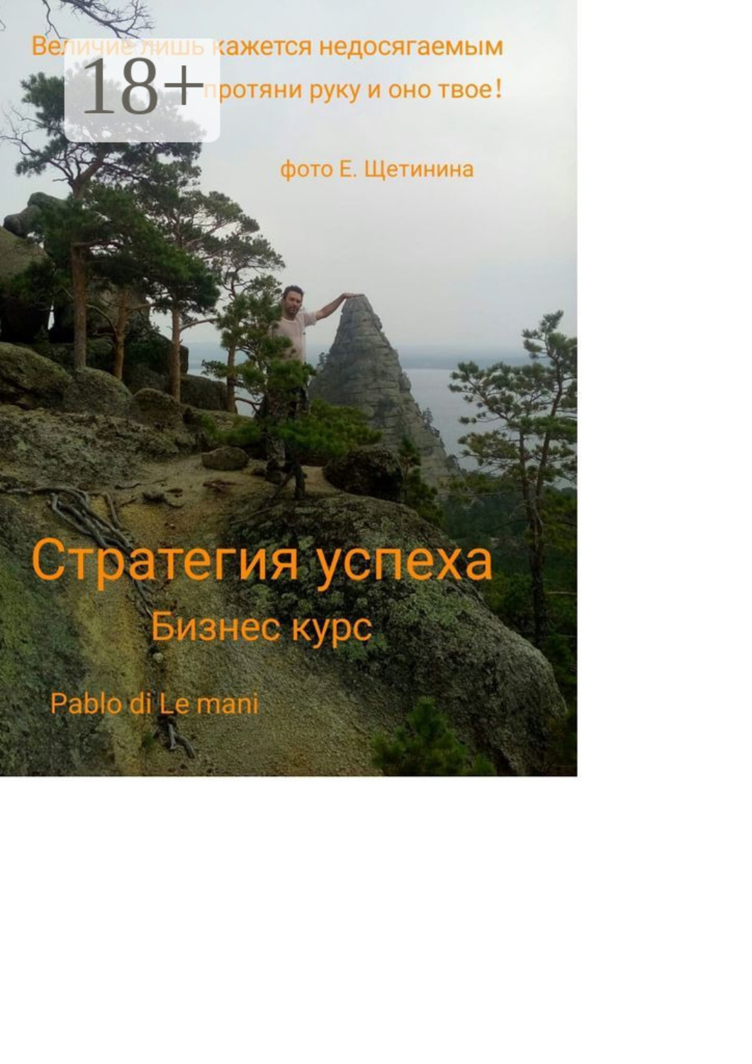 Обложка книги «Стратегия успеха»