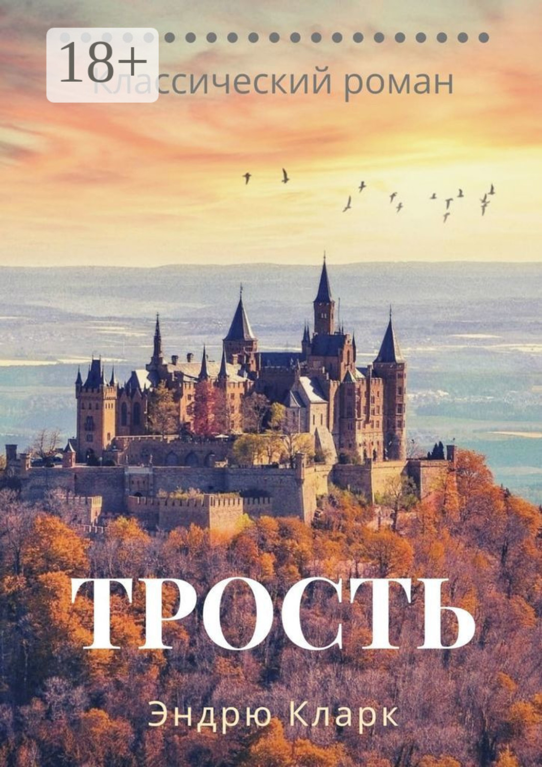 Обложка книги «Трость»